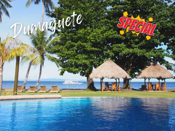 【Diving Promotion】Philippines Dumaguete 6D5N Diving Packages - Pura Vida/ Vida Homes